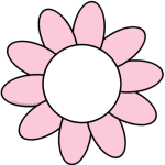 Pink Daisy Pink Daisy