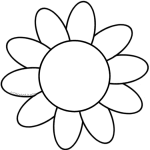 White Daisy White Daisy
