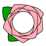 Pink Rose Pink Rose